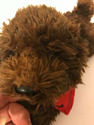 Brown Poodle Plush From Yomiko Classics Fao