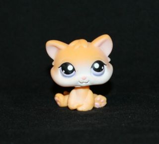 Littlest Pet Shop Yellow Kitten 114 Pink & Purple Eyes Cat Orange Kitty (ct02)