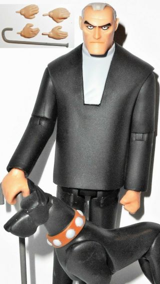 Dc Direct Collectibles Bruce Wayne Old Batman Beyond Animated Series Ace Dog