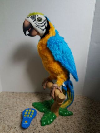 Furreal Squawkers McCaw Talking Parrot Hasbro with Remote and Perch - 2