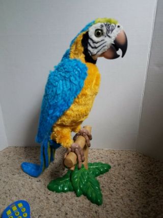 Furreal Squawkers McCaw Talking Parrot Hasbro with Remote and Perch - 4