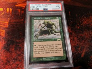 Mtg Psa 9 Survival Of The Fittest