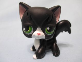 Littlest Pet Shop Cat Kitty Angora Black Tuxedo 55 Authentic Lps