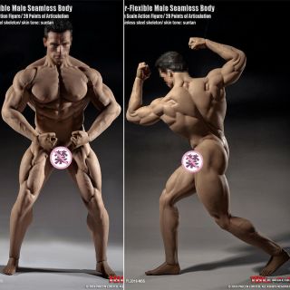 Tbleague Pl2018 - M35 Flexible Male Suntan Skin Seamless Muscular Body
