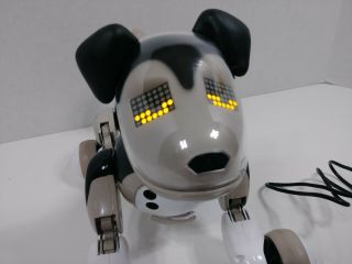Zoomer Best Friend Shadow robotic dog puppy 2012 Spin Master w charging cord 3