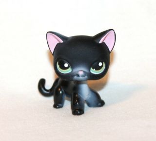 Littlest Pet Shop Lps Black Shorthair Cat 336 Green Eyes Siamese Kitty (ct03)