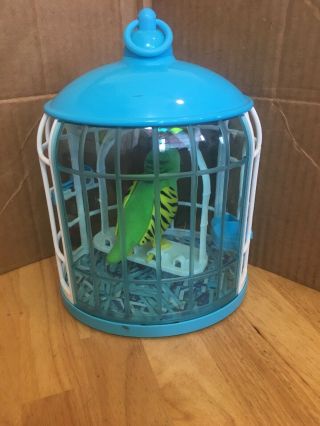 Little Live Pets Tweet Talking Birds Green Friendly Frankie in Birdcage 2