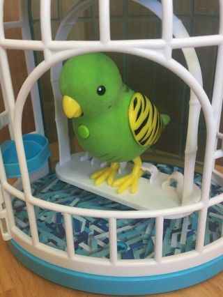 Little Live Pets Tweet Talking Birds Green Friendly Frankie in Birdcage 4