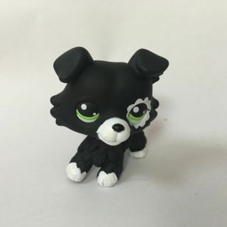 Ooak Lps Black/white Collie Dog Hand Painted Figure Littlest Pet Shop