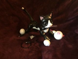 Zoomer Kitty Interactive Cat - Black 6024412 Kids Toy