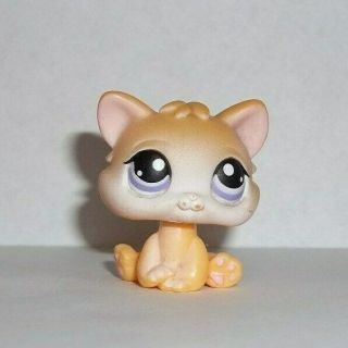 Hasbro Littlest Pet Shop Lps Orange Kitten Tabby Cat Purple Eyes 114