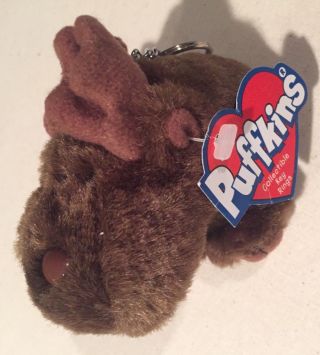 Gus The Moose With Antlers Puffkins Bean Bag Plush 1997 Key Rings