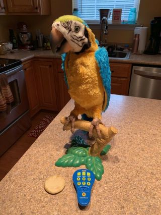 Furreal Squawkers Mccaw Talking Parrot From Hasbro W/ Remote,  Cracker And Stand