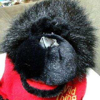 Vtg Black 14 " Plush Gorilla In Letterman 