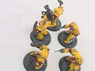 Warhammer 40k Imperial Fists space marine Terminator close combat squad painted 6