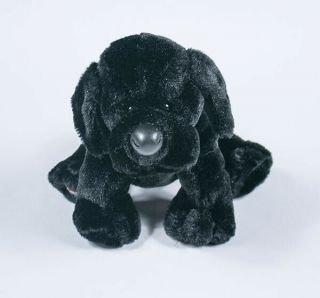 Webkinz Ganz Black Lab Puppy Dog Hm136 Plush Stuffed Animal No Code