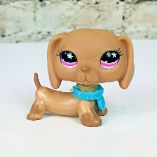 Littlest Pet Shop 932 Sassiest Dachshund Dog Star Eyes Authentic Lps