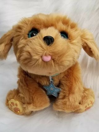Little Live Pets Snuggle My Dream Puppy Interactive Dog Stuffed Animal Toy