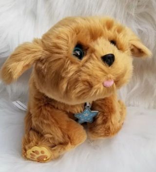 Little Live Pets Snuggle My Dream Puppy Interactive Dog Stuffed Animal Toy 2