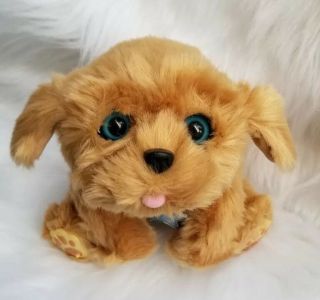 Little Live Pets Snuggle My Dream Puppy Interactive Dog Stuffed Animal Toy 3