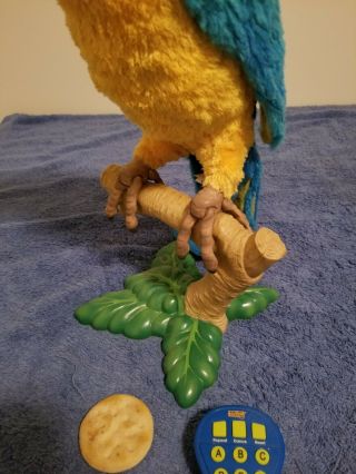 Hasbro Furreal Squawkers McCaw Talking Parrot w/ Remote Perch & Cracker 3