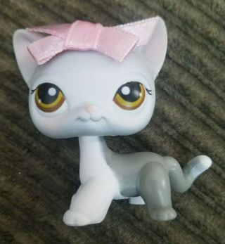 Littlest Pet Shop Cat Shorthair 138 Gray And White With Brown Eyes Pink Bow Usa