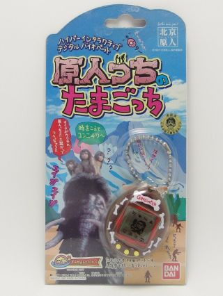 W/box Bandai Tamagotchi Genjintchi 1997 Japan Genjintchi Caveman Virtual