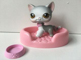 Littlest Pet Shop 138 Gray & White Short Hair Siamese Cat With Brown Eyes Lps