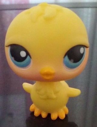 Authentic Hasbro Lps Littlest Pet Shop 13 Yellow Chick Bird With Blue Eyes