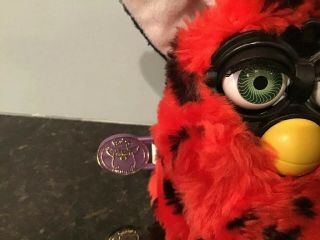 1999 Furby Baby Lady Bug Colors With Tags 3