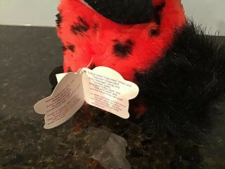 1999 Furby Baby Lady Bug Colors With Tags 4