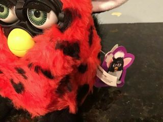 1999 Furby Baby Lady Bug Colors With Tags 5