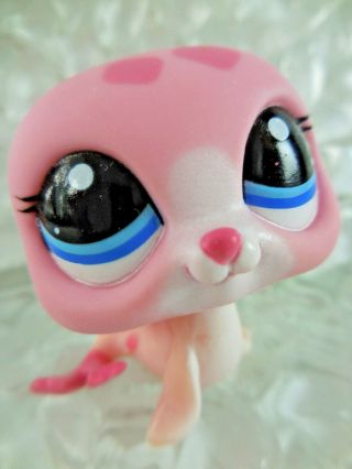 Littlest Pet Shop Lps 2239 Pink Spotted Baby Seal Blue Eyes