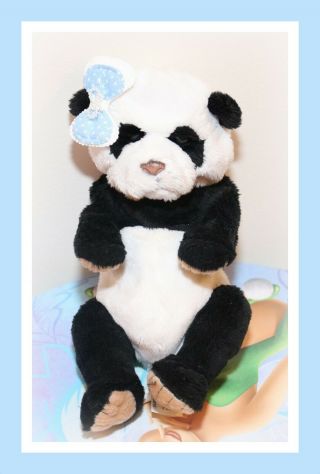 ❤️furreal Friends 8 " Newborn Baby Panda Bear Luv Cub Interactive Pet Works❤️
