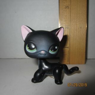 336 Black Short Hair Cat Littlest Pet Shop Hasbro Authentic Green Eyes
