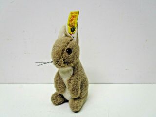 Vintage Steiff Plush Bunny Rabbit With Tag And Button 6 " Tall
