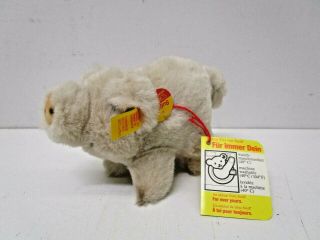 Vintage Steiff Plush 6 " Pig Suggy W/ Tag And Button