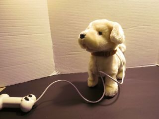 Lab Puppy Remote Control Walking Barking Dog Battery Operated Toy Video