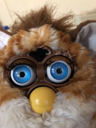 Furby Gold Stripes Neon Eyes But & Cheerful 5
