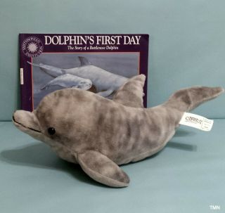 Kohls Cares Dolphin Plush 16 " Stuffed Animal Toy With Sc Scholastic Book