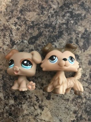 Lps Littlest Pet Shop Baby Boxer Puppy And Collie Dog