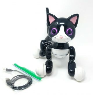 Zoomer Kitty Interactive Cat - Black 6024412 Kids Pretend Play Toy