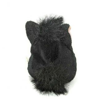 Furby Beanbag Buddies Plush 1999 70 - 700 ' Witches Cat ' Solid Black 2