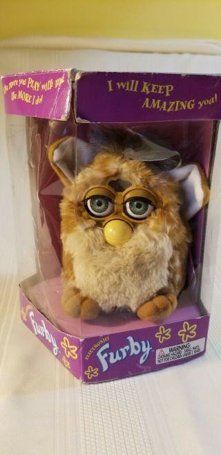 1998 Furby Brown And Cream Or Not 70 - 800 E