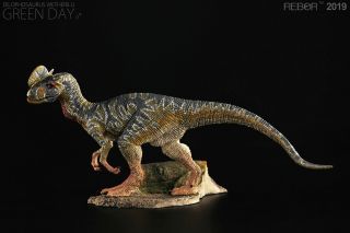 Rebor Dilophosaurus Green Day 1:35 Scale Dinosaur Model