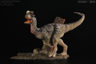Rebor Dilophosaurus Oasis 1:35 Scale Dinosaur Model