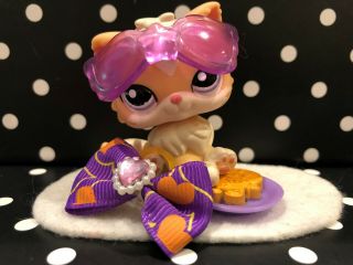 Littlest Pet Shop Authentic 1657 Peach Persian Kitty Cat (clear Coil)