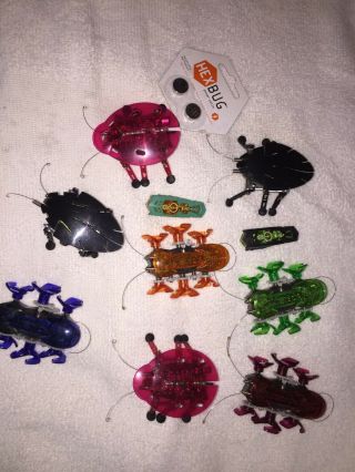 Hex Bugs (9) And Batteries Collectable Childs Robotic Toys