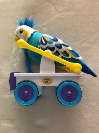 Cleverkeet Little Live Pets Talking Interactive Robot Bird Toy With Batteries