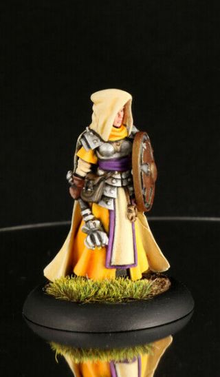 Painted Ailene,  Female Cleric Reaper,  D&d,  Pathfinder Character Miniature